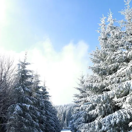 Javorovy Vrch Chalet *