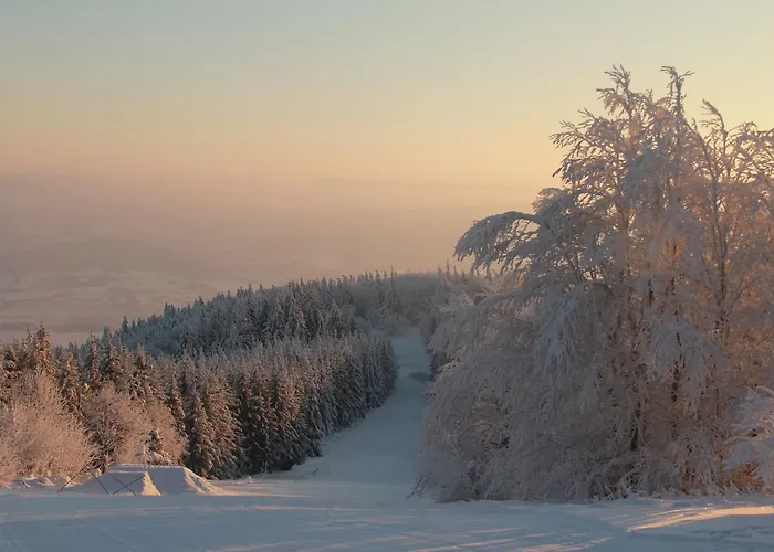 Javorovy Vrch *