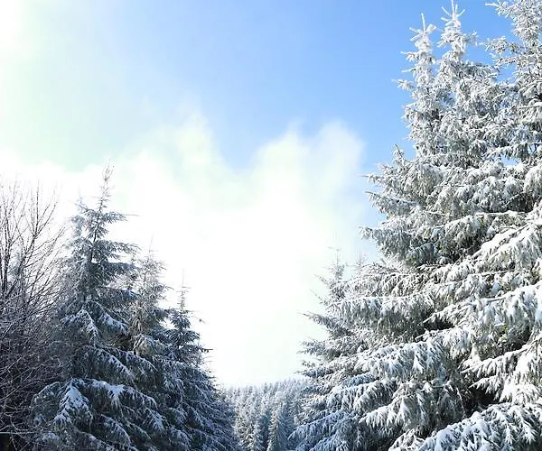Javorovy Vrch Chalet *